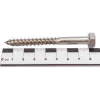 Сантехнический шуруп ЕВРОПАРТНЕР DIN 571 с шестигр.гол. 8х80 нержав. сталь 2 шт. G2 2880 2