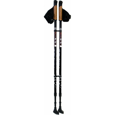 GESS Basic Walker палки для скандинавской ходьбы двухсекционные GESS-919