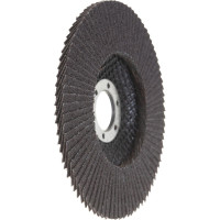 Inforce Круг лепестковый 125x22,2 P60 11-01-039