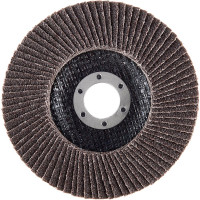 Inforce Круг лепестковый 125x22,2 P60 11-01-039