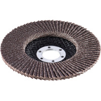 Inforce Круг лепестковый 125x22,2 P60 11-01-039