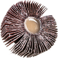 Круг лепестковый радиальный (80х30х6 мм; Р60) для дрелей FIT IT 39593