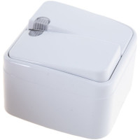 Двухклавишный выключатель с подсветкой Союз Электра о/у, 10А, 220В, белый (еврослот) 0030