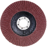 Круг зачистной лепестковый STURM 9010-01-125x22-60