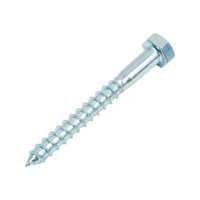 Сантехнический болт DIN 571 оцинкованный 8х70, 2шт - пакет Tech-Krep/Zitar 102589