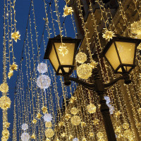 Светодиодная гирлянда FERON CL08 линейная 60м + 3м, 230V, мультиколор, статичная, c питанием от сети, зеленый шнур 26784