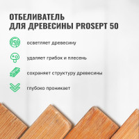 Отбеливатель для древесины PROSEPT 50 концентрат 1:1, 1 л 001-1