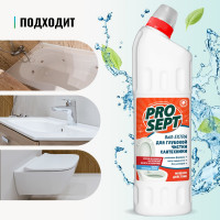 Средство усиленного действия PROSEPT Bath Extra для удаления ржавчины и минеральных отложений 1 л 110-1