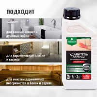 Удалитель плесени PROSEPT FUNGI CLEAN концентрат 1:1, 1 л  019-1
