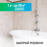 Удалитель плесени PROSEPT FUNGI CLEAN концентрат 1:1, 1 л  019-1