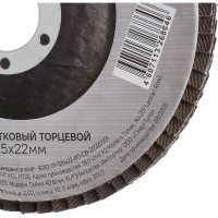 Круг зачистной лепестковый STURM 9010-01-125x22-60