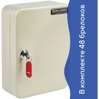 Шкафчик на 48 ключей BRAUBERG 250х180х80 мм, с замком, +48 брелоков, серый 290338