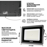 Светодиодный прожектор Wolta 5700K, холодный белый свет, 100Вт, IK08, SMD IP 65, серый WFL-100W/06