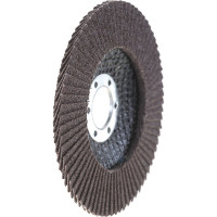 Круг лепестковый универсальный (115х22 мм,  А100, 14А) Tsunami КЛТ1 D96100000011581