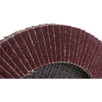 Круг лепестковый торцевой плоский КЛТ1 (150х22 мм; А 60; 14А 25/Р60) Луга 4603347276259