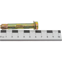 Анкерный болт Tech-Krep 10х60 50шт 117963