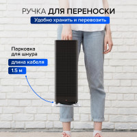 Керамический обогреватель Stadler Form 300вт Anna big black A-061