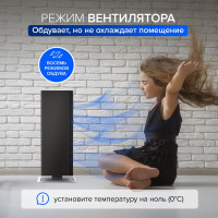 Керамический обогреватель Stadler Form 300вт Anna big black A-061