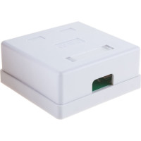 Розетка Cablexpert RJ-45 кат.5e внешняя 2 порта, 110&Krone NA214
