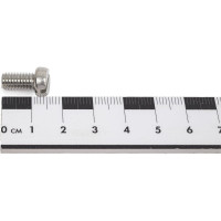 Винт с цилиндрической головкой, с прямым шлицем ЕВРОПАРТНЕР DIN 84 6x12 нержав. сталь 4 шт. G2 2612 1