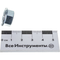 Самостопорящаяся гайка с фланцем Метизный двор M10 DIN 6923, 100 шт. 4607159067722