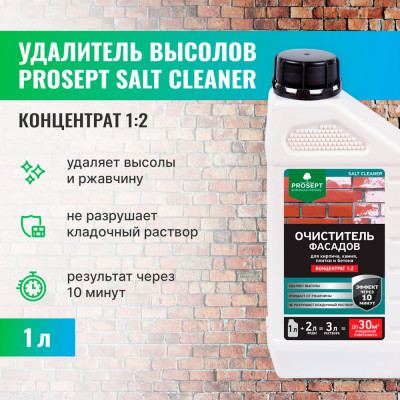 Удалитель высолов PROSEPT SALT CLEANER 1 л, концентрат 1:2 021-1