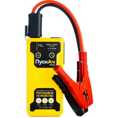 ПускАч Пусковое многофункциональное устройство Battery Service 8000 BS-JS08