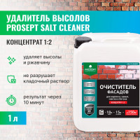 Удалитель высолов с минеральных поверхностей PROSEPT SALT CLEANER, 5л, концентрат 1:2, 021-5