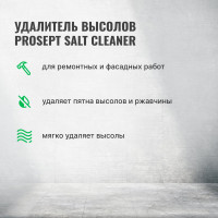 Удалитель высолов с минеральных поверхностей PROSEPT SALT CLEANER, 5л, концентрат 1:2, 021-5