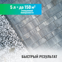 Удалитель высолов с минеральных поверхностей PROSEPT SALT CLEANER, 5л, концентрат 1:2, 021-5