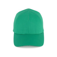 Каскетка РОСОМЗ RZ FavoriT CAP 95519