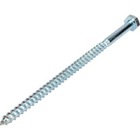 Сантехнический болт DIN 571 оцинкованный 10х200, 2шт - пакет Tech-Krep/Zitar 113141