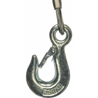 Электрическая стационарная таль EURO-LIFT BH250A 00009783 (250 кг, 60 м, IP54)