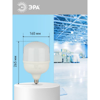 Светодиодная лампа ЭРА STD LED POWER T160-100W-6500-E27/E40 100Вт колокол холодный дневной свет Б0032090