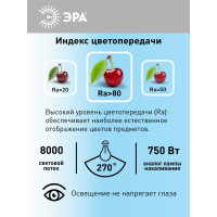 Светодиодная лампа ЭРА STD LED POWER T160-100W-6500-E27/E40 100Вт колокол холодный дневной свет Б0032090