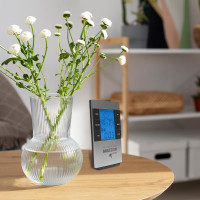 Настольная метеостанция МЕГЕОН 20200 00000003388