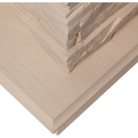 Электрический камин RealFlame Akron 25 WT+Firefield 25 S IR 10012258