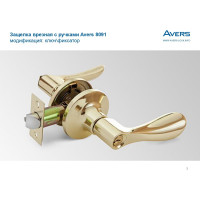 Защёлка Avers 8091-01-G 25000