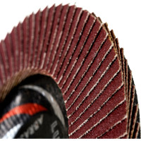 Круг лепестковый универсальный PROF (125х22 мм,  А120, 14А) D96100000P12582