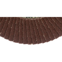 Круг лепестковый торцевой плоский КЛТ1 (125х22 мм; А 80; 14А 20/P80) Луга 4603347337967