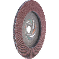 Круг лепестковый торцевой плоский КЛТ1 (180х22 мм; А 40; 14А 40/Р40) Луга 4603347276587