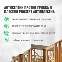 Универсальный антисептик против грибка и плесени PROSEPT АНТИПЛЕСЕНЬ 10 л 025-10