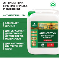 Универсальный антисептик против грибка и плесени PROSEPT АНТИПЛЕСЕНЬ 5 л 025-5