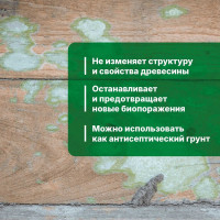 Универсальный антисептик против грибка и плесени PROSEPT АНТИПЛЕСЕНЬ 10 л 025-10