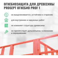 Огнебиозащита для древесины PROSEPT ОГНЕБИО PROF 1, 1 группа 65 л 007-65