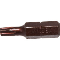 Бита (2 шт; T20; 25 мм) PATRIOT 818010019