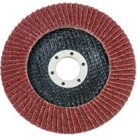 Круг лепестковый торцевой EDGE by PATRIOT 125мм22,23ммP40 819010005