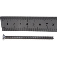 Винт с потайной головкой ЕВРОПАРТНЕР DIN 965 6х80 нержав. сталь 2 шт. G2 0680 1