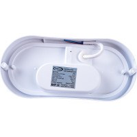 Светодиодный ЖКХ светильник IONICH 18Вт овал ILED-SMD2835-СПП-18-1440-230-6.5-IP65-O 1473