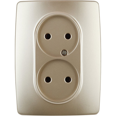 Розетка ЭРА 12-2107-04 2X2P, 16A-250В, IP20, 12, шампань Б0031241